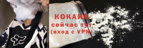 индика Балахна